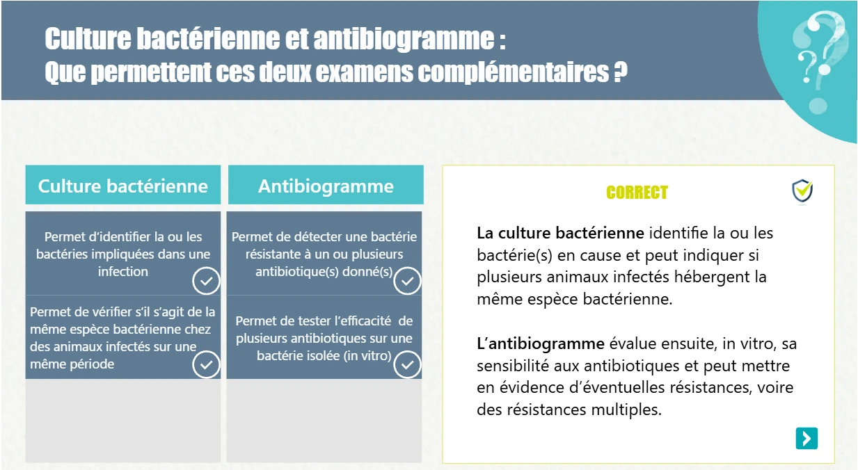 Activité avec feedback sur culture bactérienne et antibiogramme