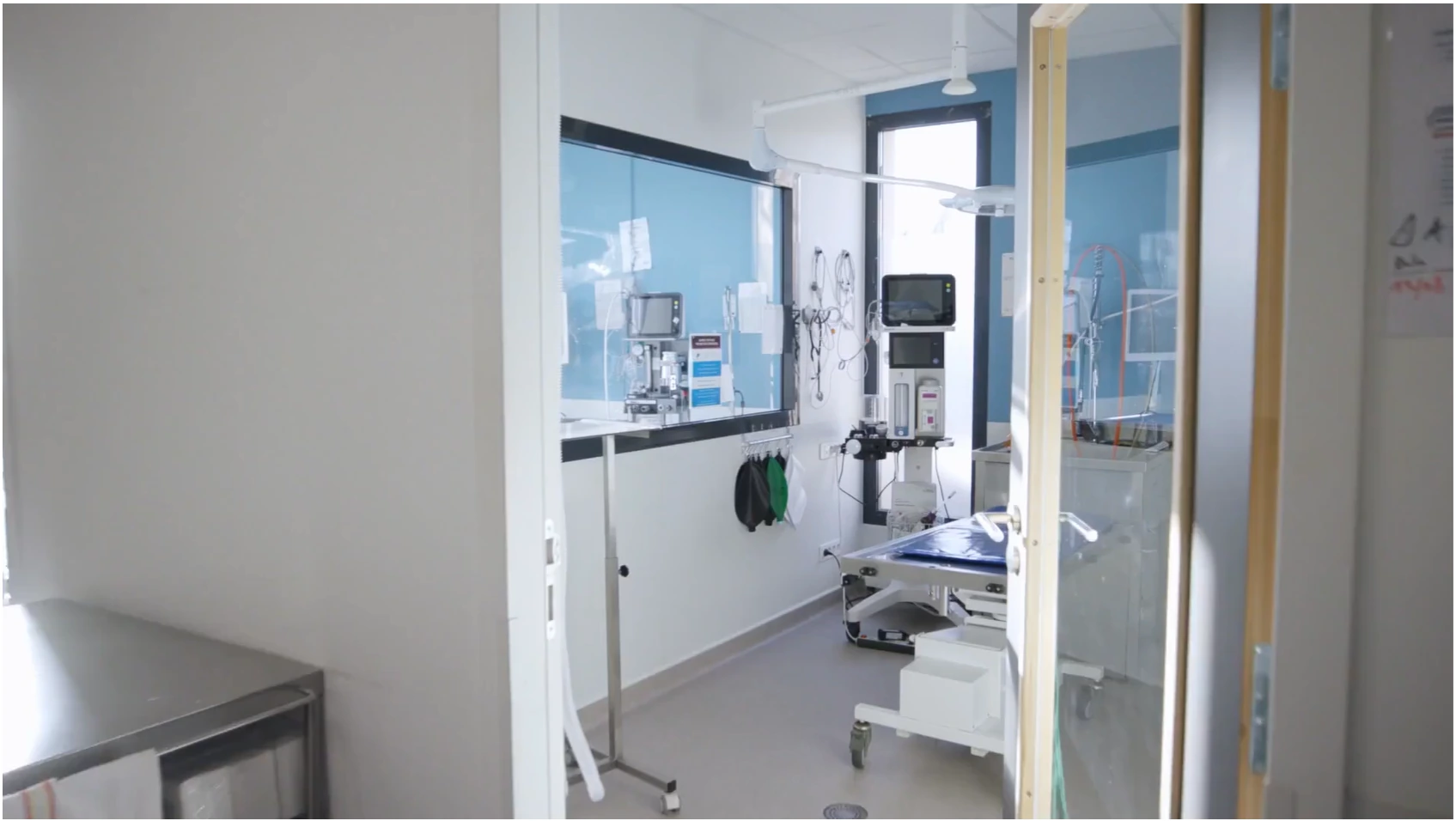 Salle de soins d’une clinique vétérinaire